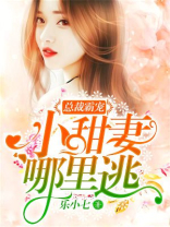 总裁霸宠：小甜妻，哪里逃！