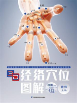 3D经络穴位图解