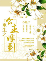 重生之公主嫁到