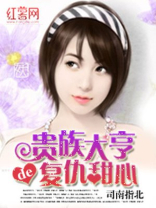 大亨的复仇甜心
