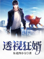 透视狂婿