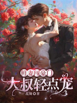 鲜妻闯豪门大叔轻点宠