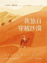 我独自穿越沙漠