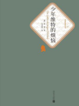 少年维特的烦恼