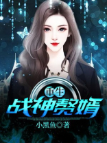 重生战神赘婿