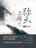 弥天之境