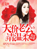 天价老公请温柔