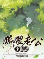 狐狸老公来报恩
