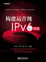 构建运营级IPv6网络