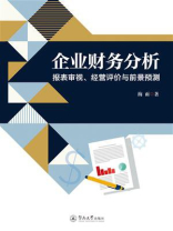 企业财务分析：报表审视、精英评价与前景预测