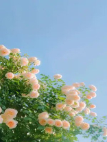 老公纵容女徒弟盲判火情源后，我笑了