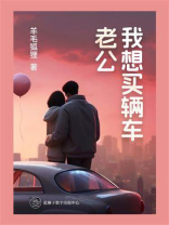 老公我想买辆车