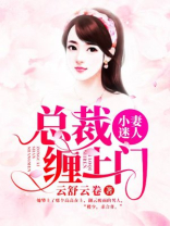 小妻迷人：总裁缠上门