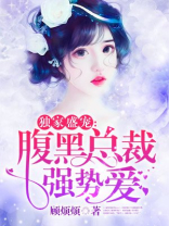 独家盛宠：腹黑总裁强势爱