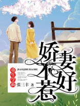 重生学霸：娇妻不好惹