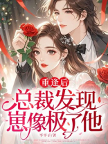 重逢后，总裁发现崽像极了他