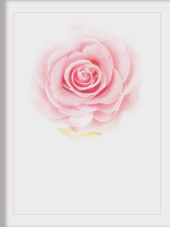 重生后我告别恋爱脑