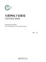 互联网电子证据论：以刑事诉讼为视角