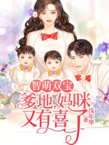 智萌双宝：爹地，妈咪又有喜了