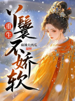 重生丫鬟不娇软