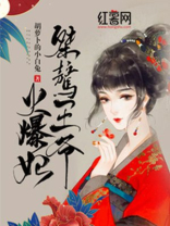 桀骜王爷火爆妃