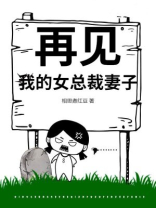 再见，我的女总裁妻子