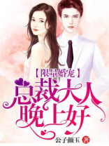 限量婚宠：总裁大人晚上好