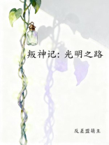 叛神记：光明之路