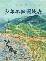 少年不知何处去