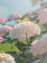 穷癖男友坐经济舱后，我提了分手