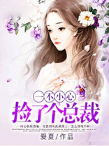 一不小心捡了个总裁