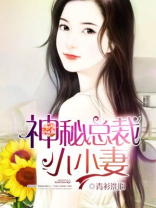 神秘总裁小小妻