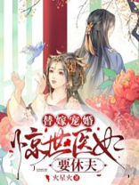 替嫁宠婚：惊世医妃要休夫