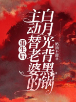 重生后主动替老婆的白月光背黑锅