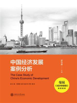 中国经济发展案例分析