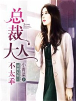 引妻入室：总裁大人不太乖