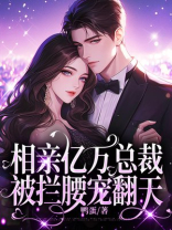 相亲亿万总裁被拦腰宠翻天