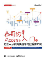 表哥的Access入门：以Excel视角快速学习数据库知识