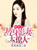 重生之替身影妻太撩人