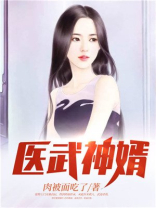 医武神婿
