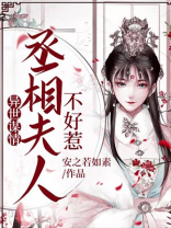 异世谋情：丞相夫人不好惹