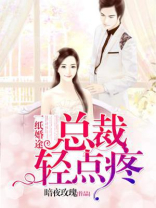 一纸婚途，总裁请宠我