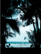 渣男老公临死前竟提出这种无理要求