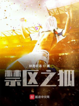 禁区之狐 禁区之狐