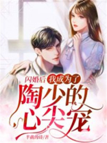闪婚后，我成为了陶少的心尖宠