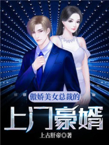 傲娇美女总裁的上门豪婿