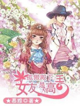 孤傲殿下：女友是高手