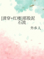 [清穿+红楼]那股泥石流