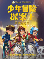 少年冒险探案王：黄金屋奇案