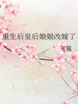 重生后皇后娘娘改嫁了